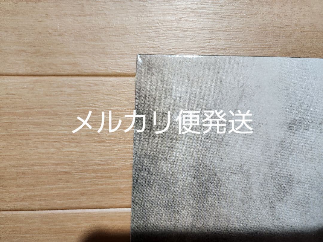 Vanessa Paradis ヴァネッサパラディ11曲入輸入盤アルバム