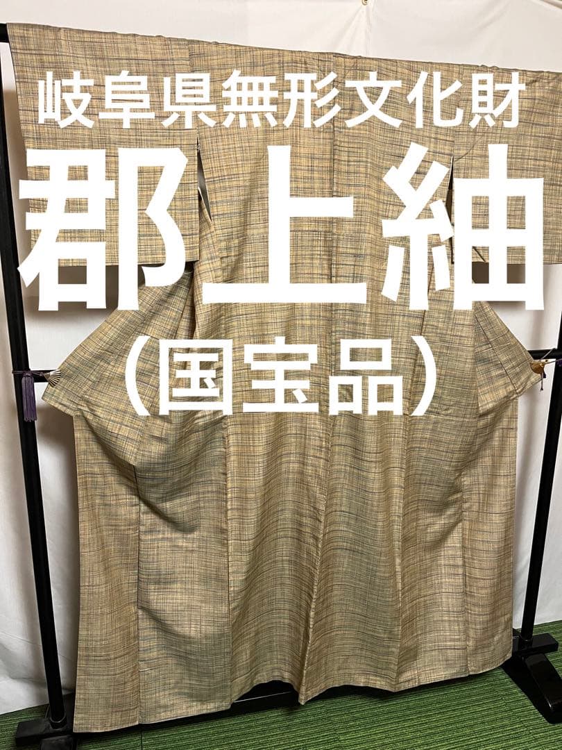 ☘️早い者勝ち☘️【超絶至宝品】●岐阜県無形文化財【郡上紬】●手引真綿●草木染●紬