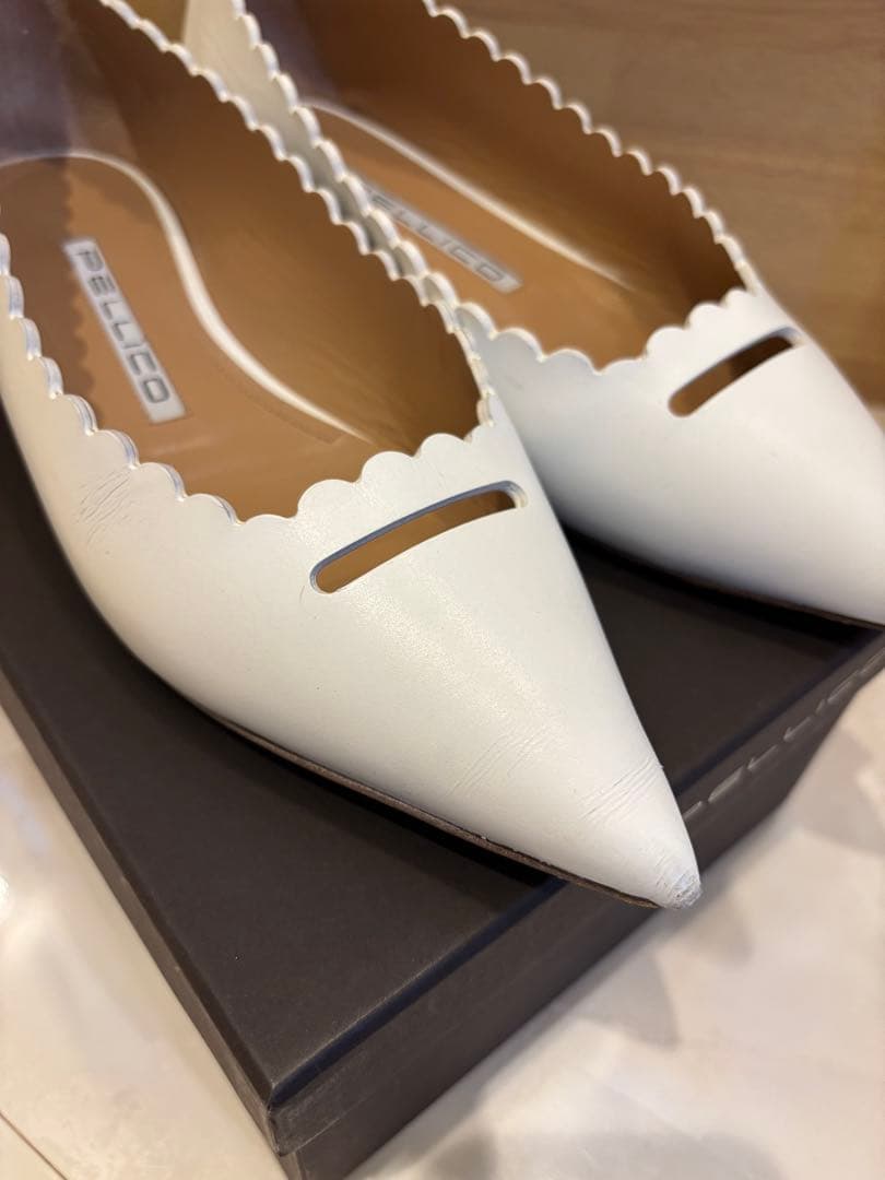 【限定】ペリーコ　アネッリ　白　37