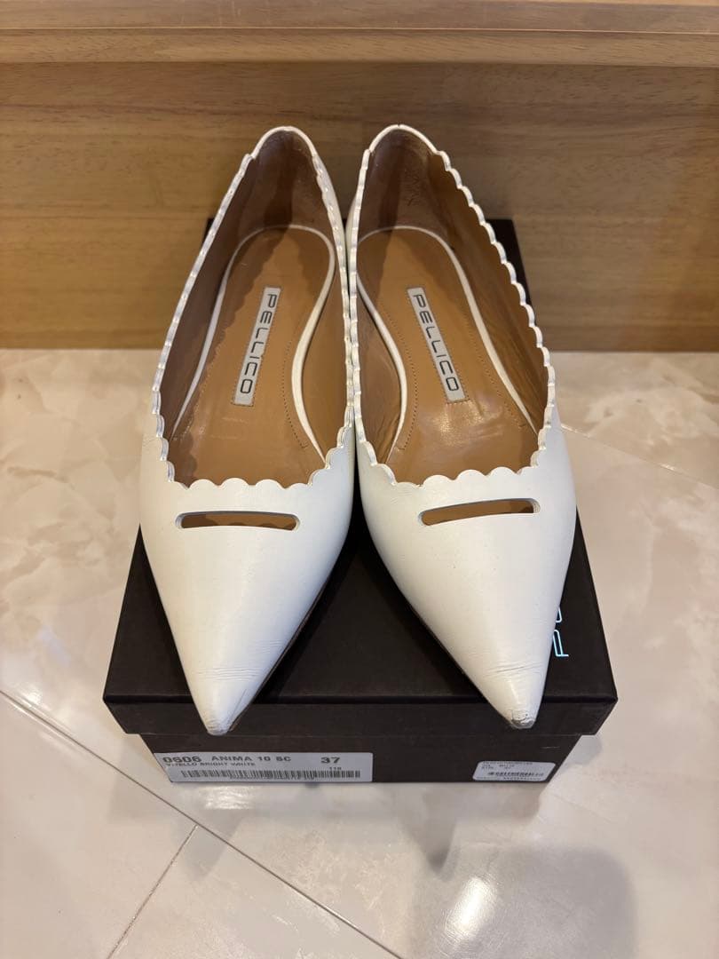 【限定】ペリーコ　アネッリ　白　37