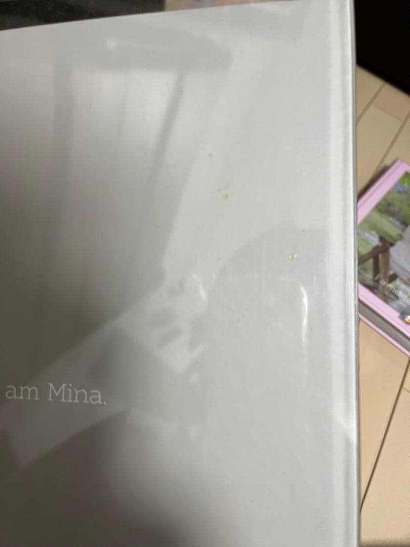 アート・デザイン・音楽 Yes, I am Mina 1st Photobook