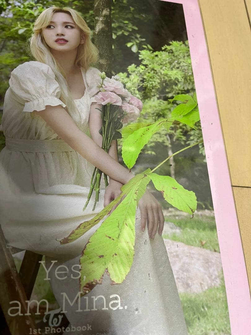 アート・デザイン・音楽 Yes, I am Mina 1st Photobook