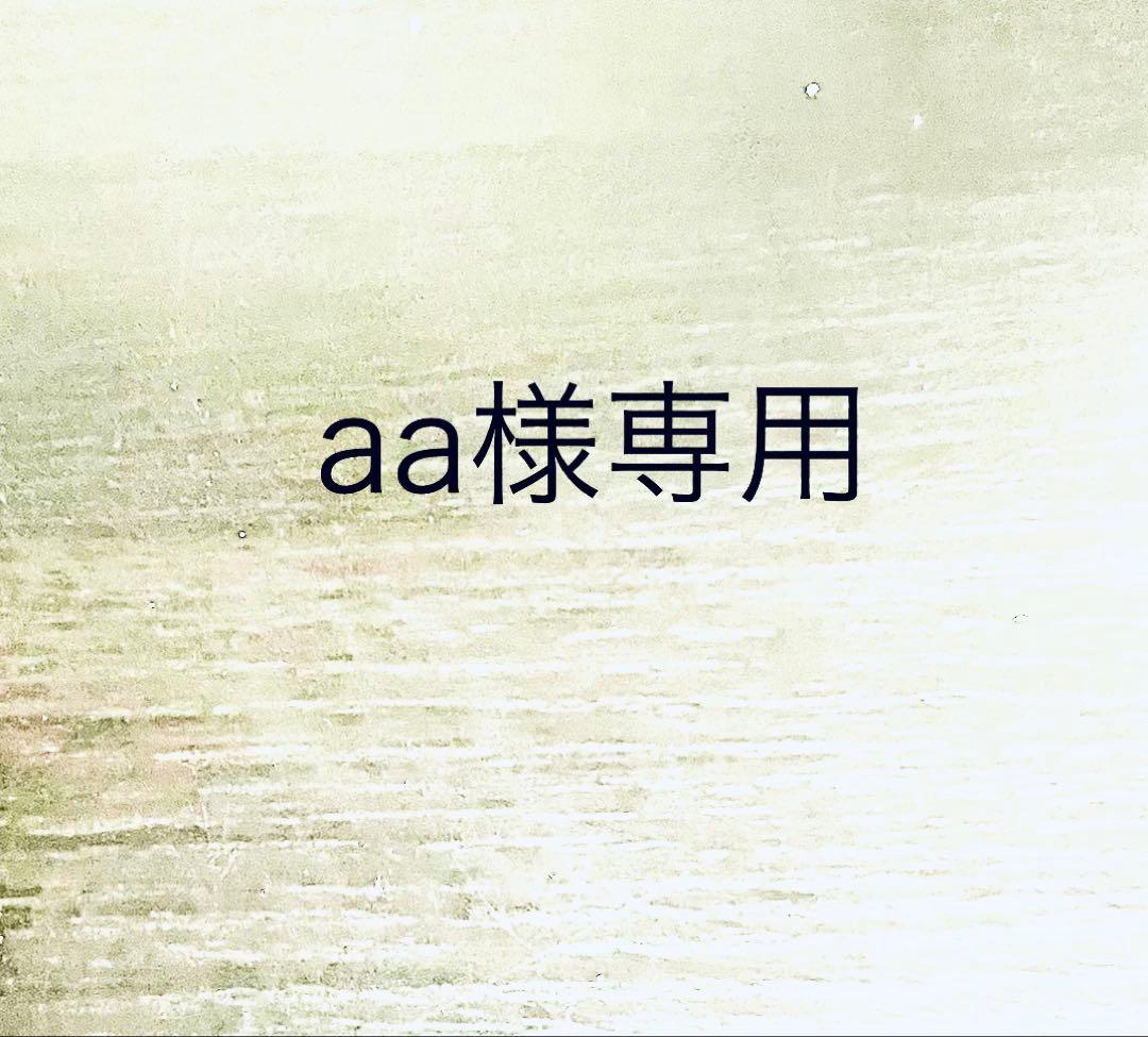 【aa】BUMP OF CHICKEN バッグ