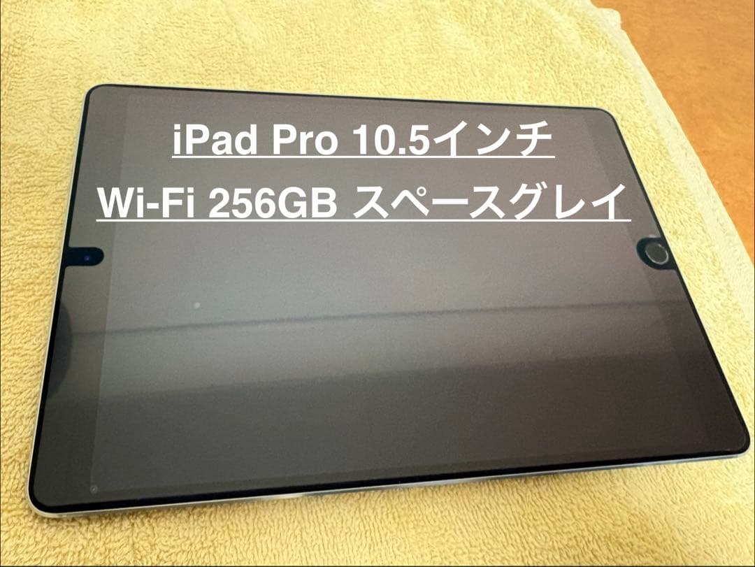 iPad Pro 10.5インチ Wi-Fi 256GB スペースグレイ