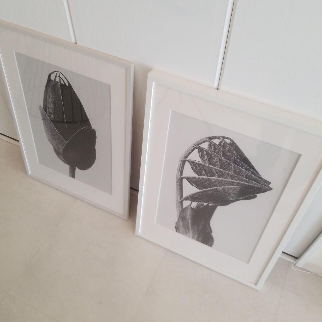 アラキ様　ボーコンセプト　フレームアート　【訳あり】