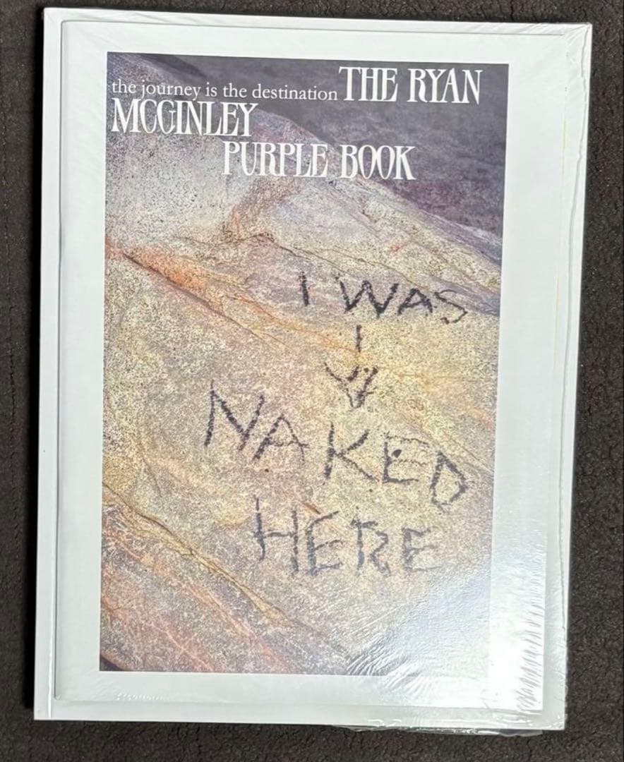 絶版‼️ RYAN MCGINLEY ZINE