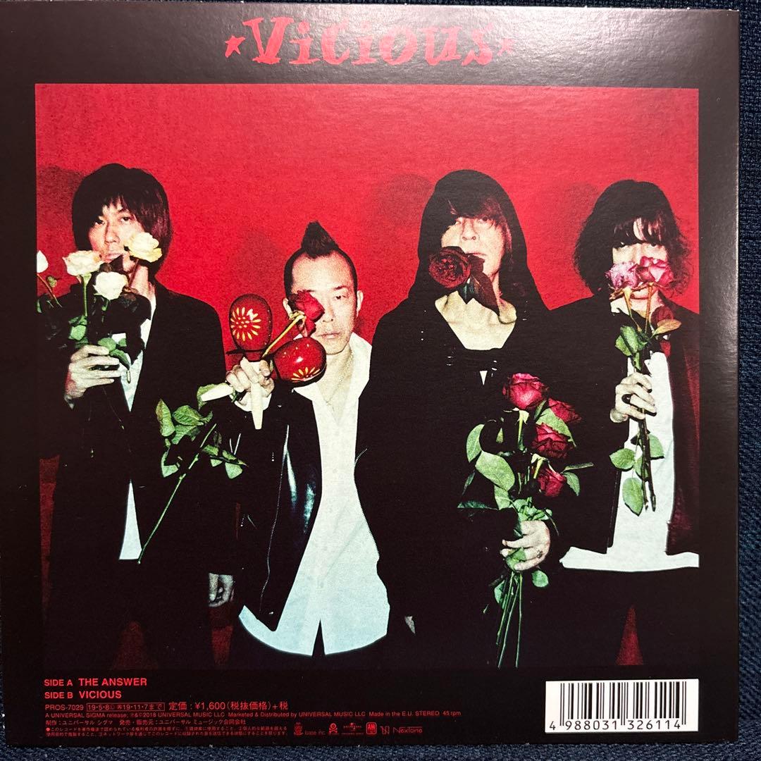 THE BIRTHDAY 7インチ シングル レコード