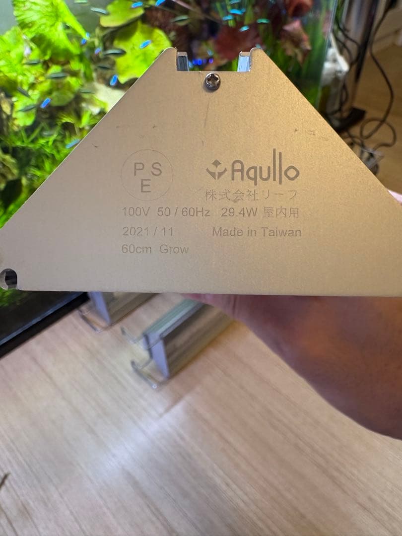 アクロトライアングル 3本セットGrow×2 Terrarium セット