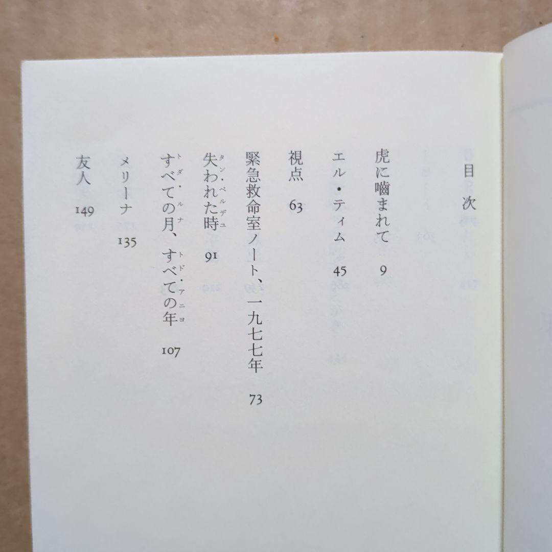 すべての月、すべての年 ――ルシア・ベルリン作品集　文庫本