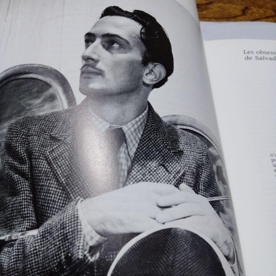 ダリ回顧展 図録 1980年 ポンピドーセンター 近代美術館 大型本 布装