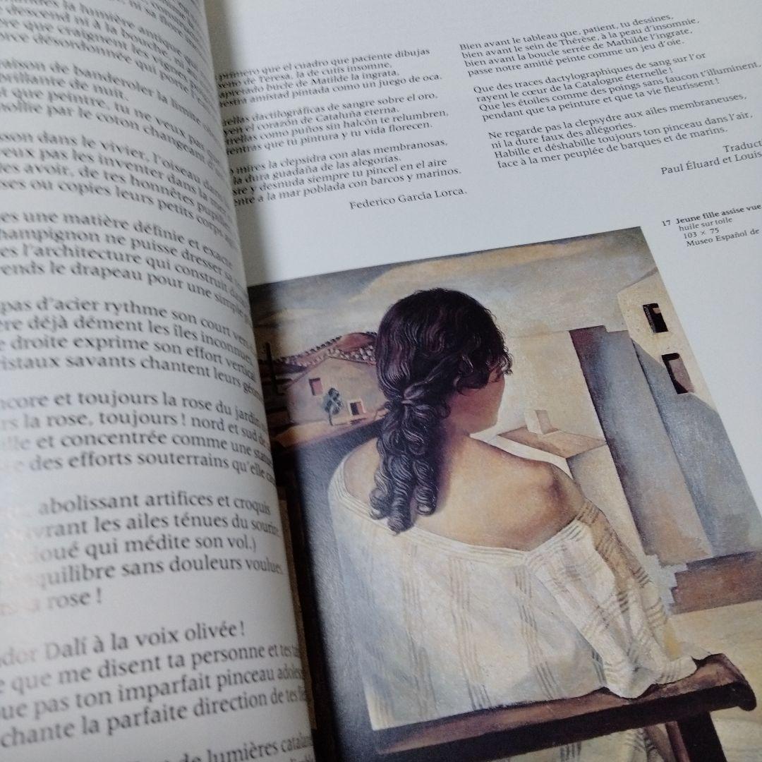 ダリ回顧展 図録 1980年 ポンピドーセンター 近代美術館 大型本 布装