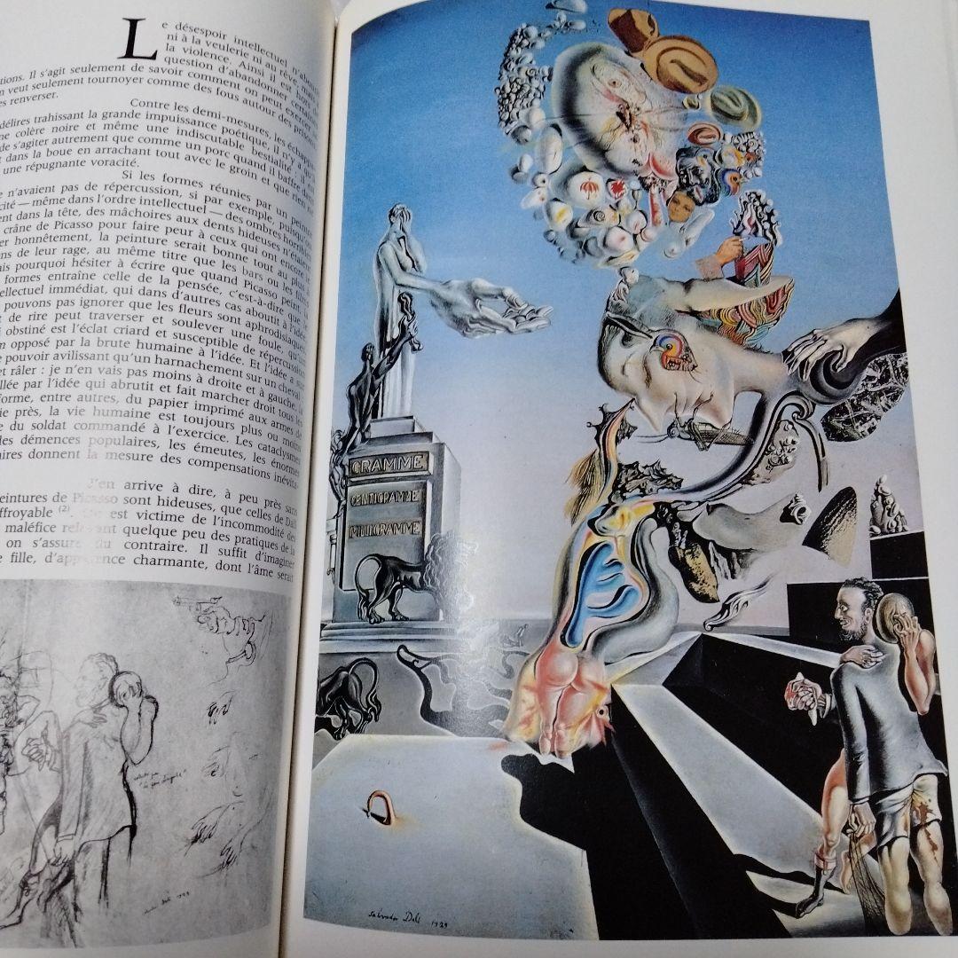 ダリ回顧展 図録 1980年 ポンピドーセンター 近代美術館 大型本 布装