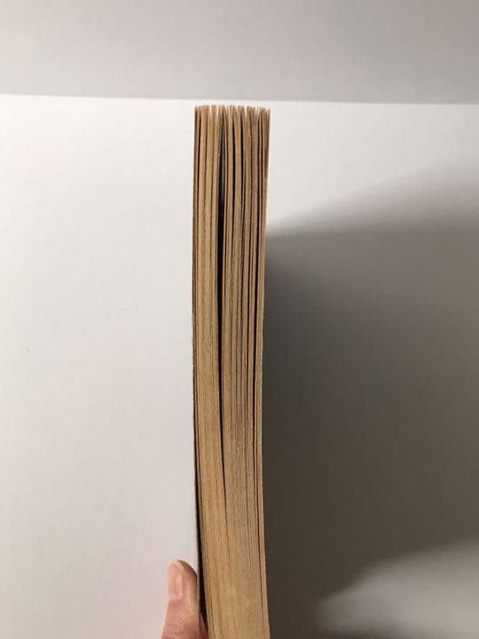 ゲームブック　火吹き山の魔法使い　英語版