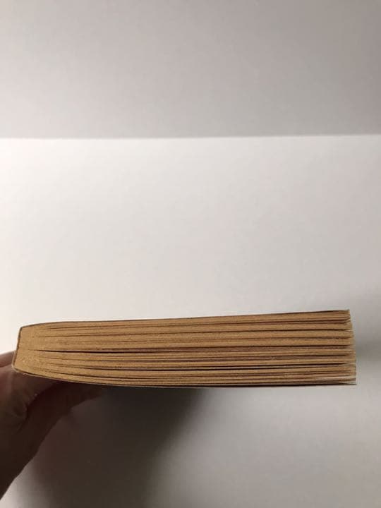 ゲームブック　火吹き山の魔法使い　英語版