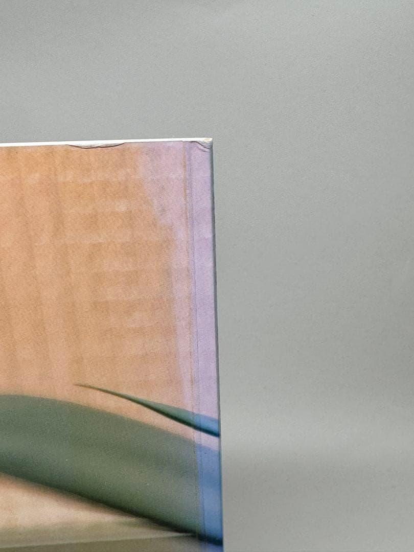 佐内正史　写真集　生きている　第四版