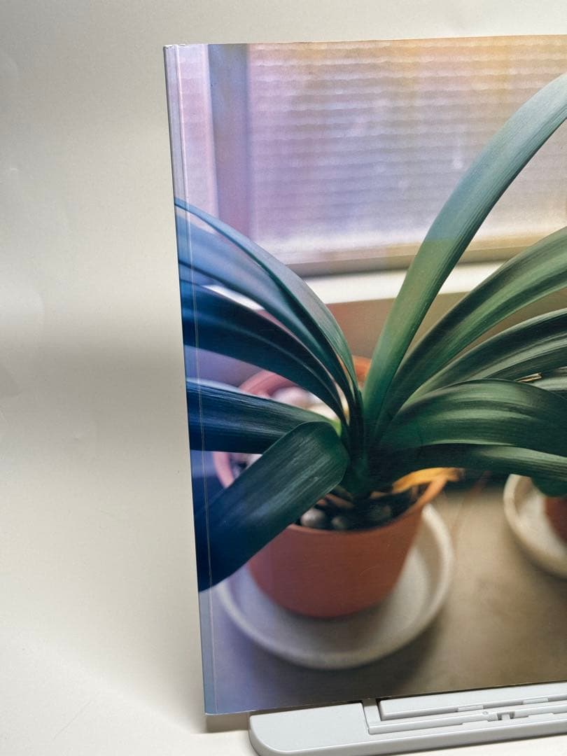 佐内正史　写真集　生きている　第四版