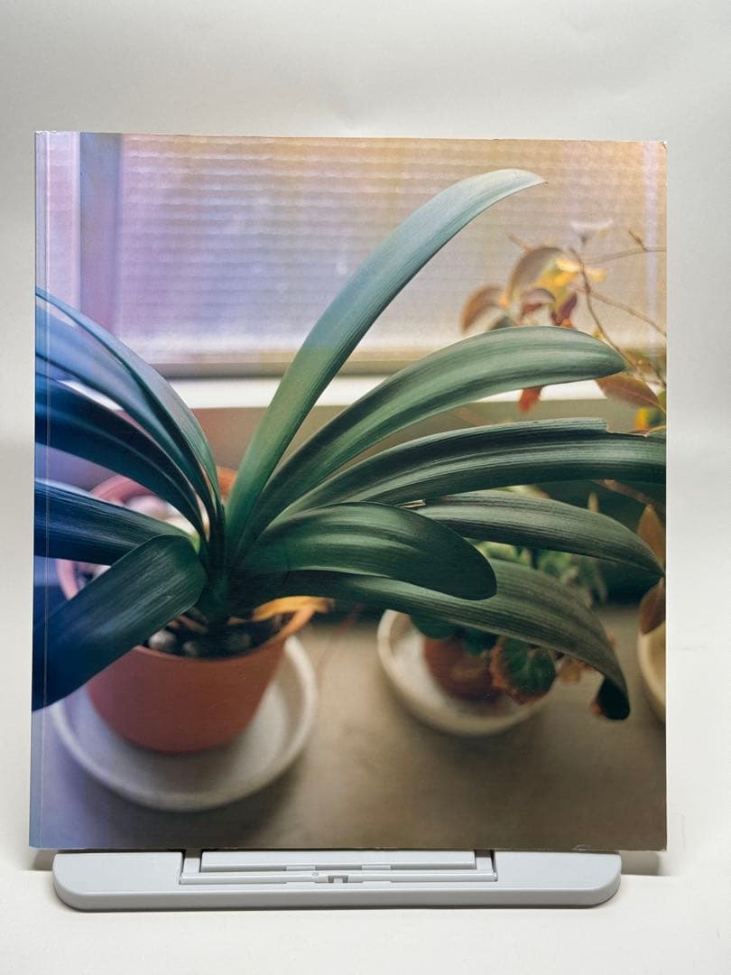 佐内正史　写真集　生きている　第四版