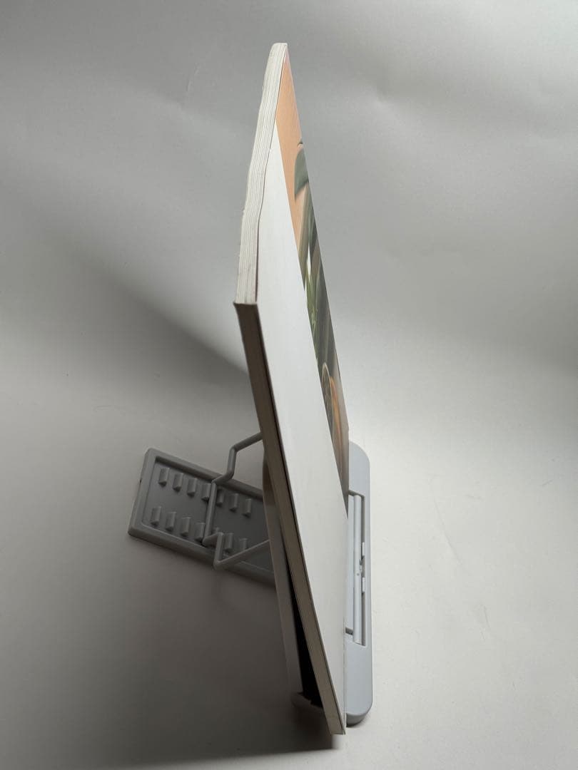 佐内正史　写真集　生きている　第四版