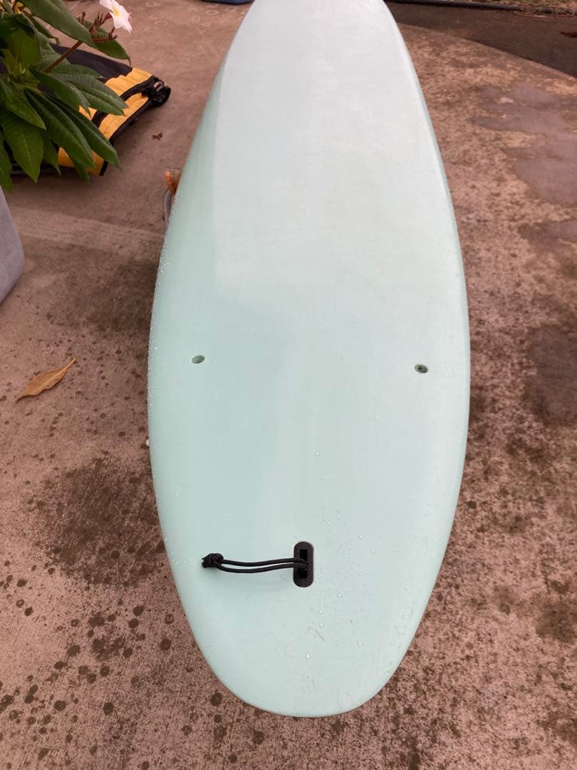 bic 9'1\" ナットヤングモデル　エポキシ　ロングボード　フルセット