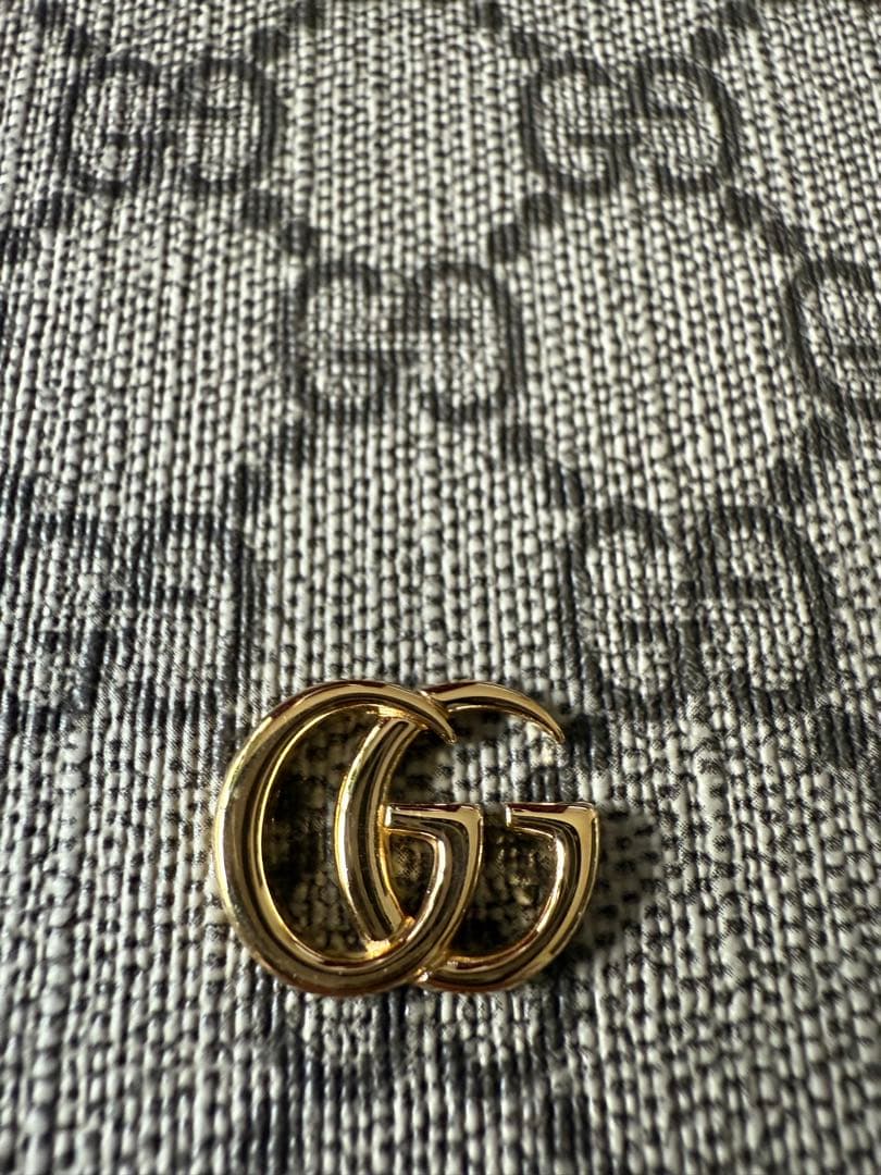 新作！GUCCI グッチ iPhone16proケース