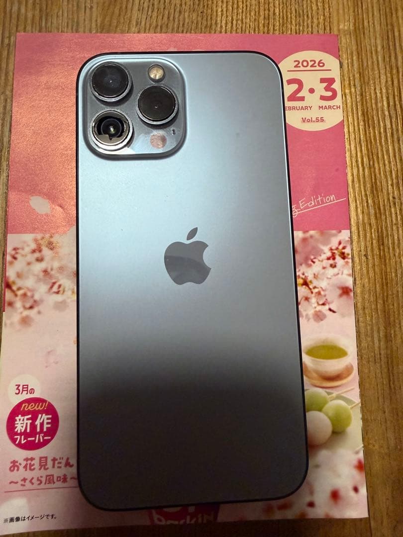 Apple iPhone 13promax 256GB シエラブルー ジャンク