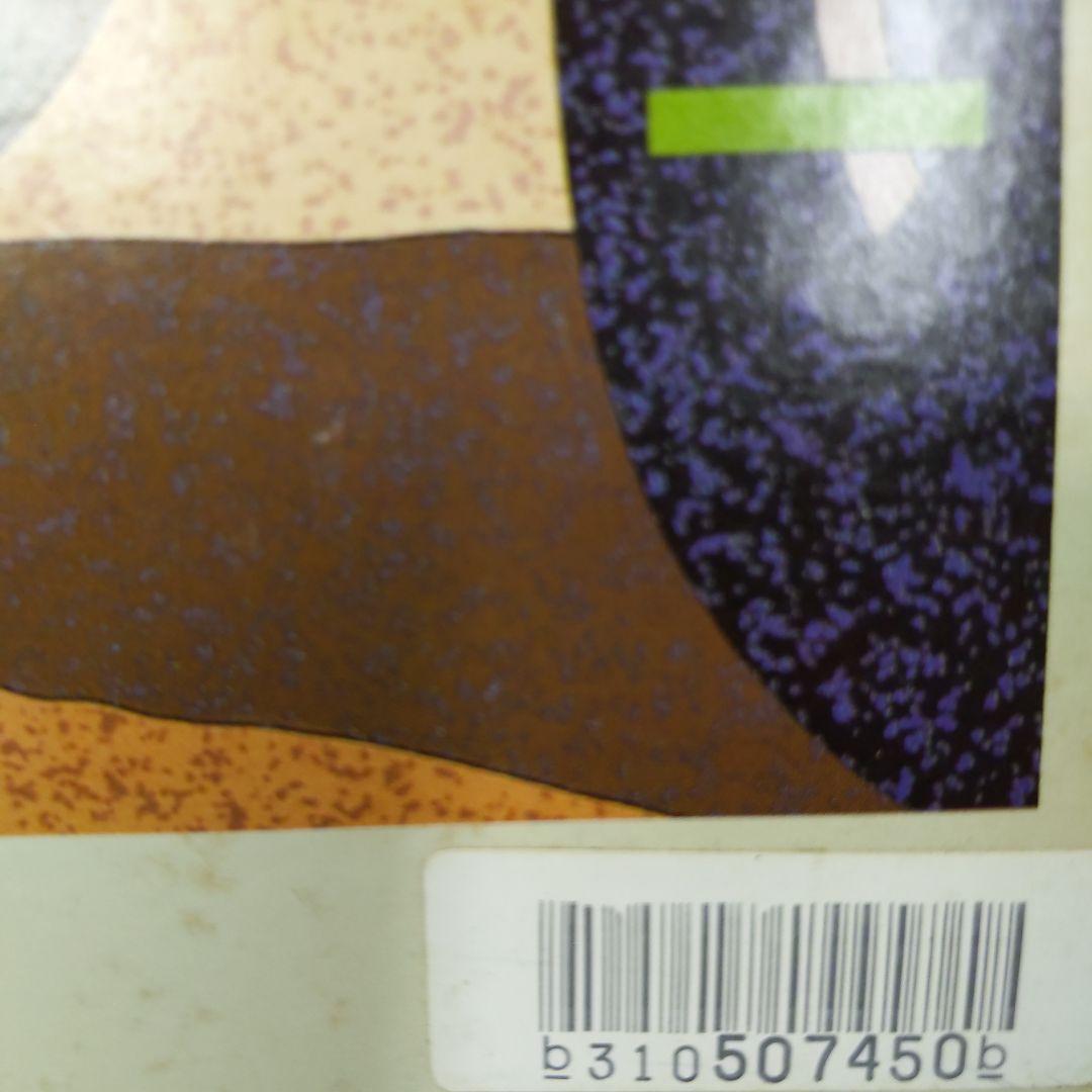 鈴木英人　レアレコードジャケ　Black ICE