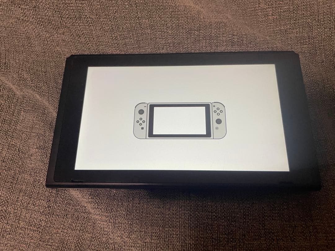 Nintendo Switch 本体、ドッグ、ACアダプター(箱付き)