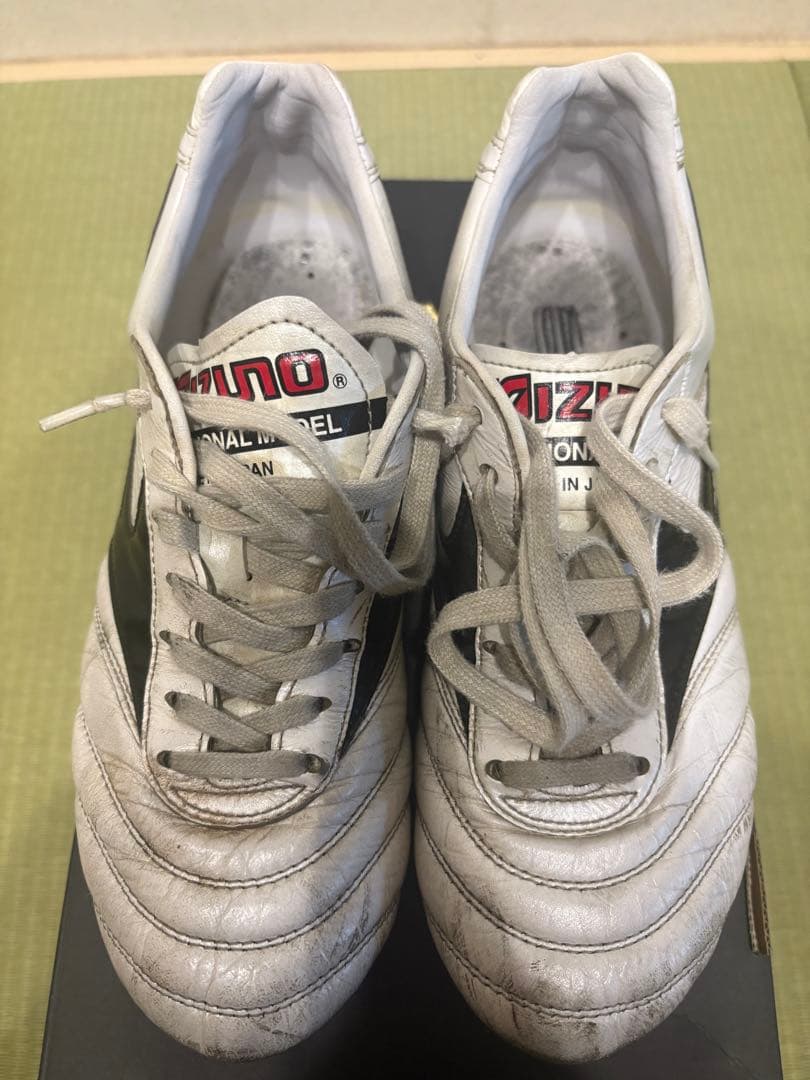 Mizuno モレリアスパイク　ザムストインソール　シューズケース　23.5cm