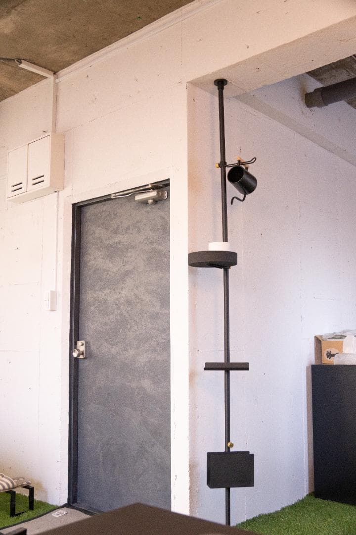 DRAW A LINE ブック アンド グリーン セット