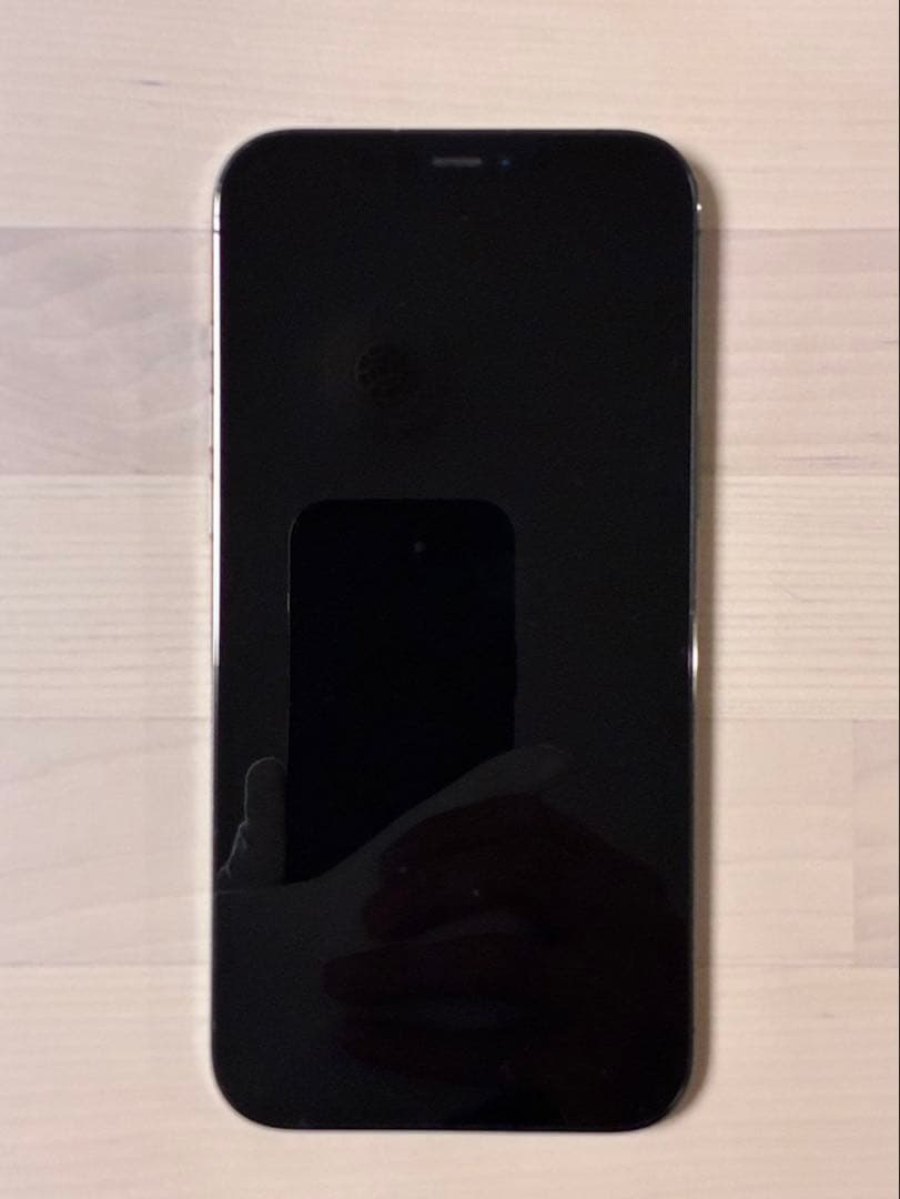 Apple iPhone 12 ProMax本体