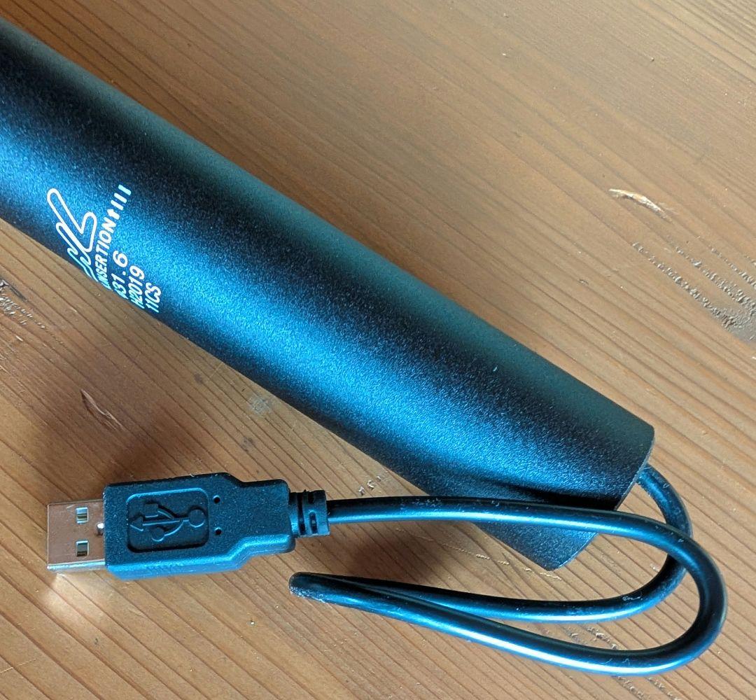 シートポスト31.6mm　BADBOY用LightSKIN LED付シートポスト