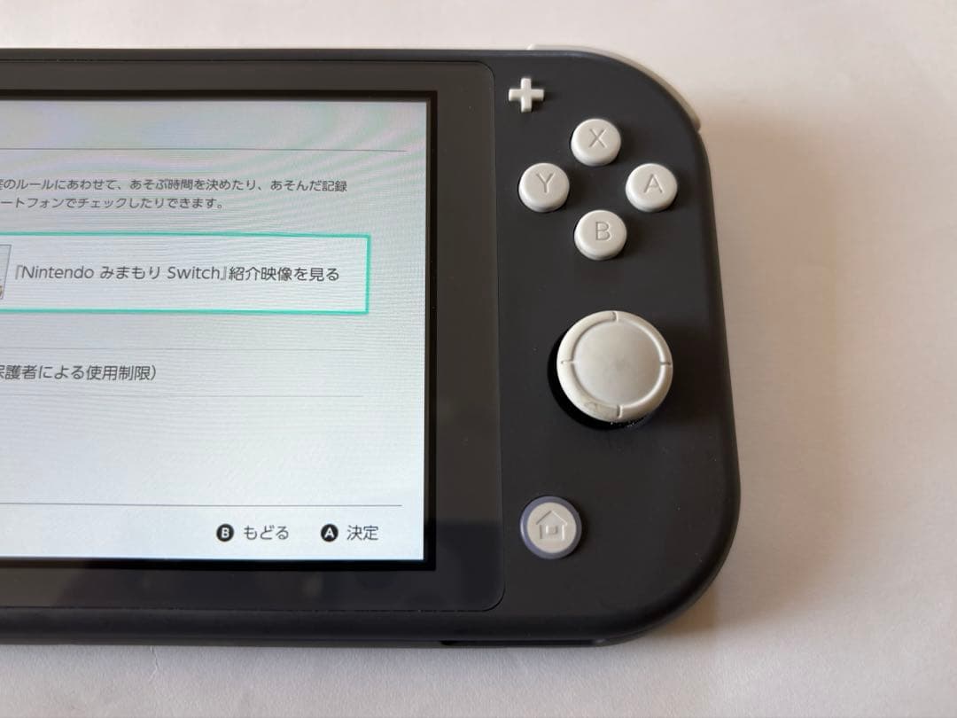 【Woody 様】Nintendo Switch Lite グレー 本体