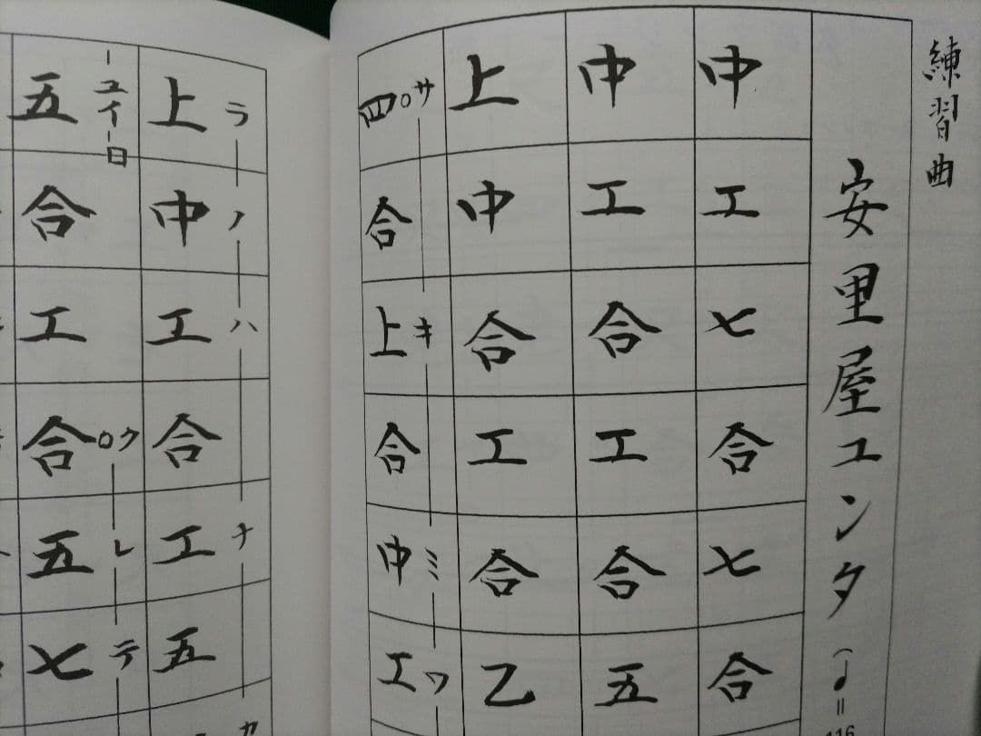 【沖縄音楽】沖縄 三線 （本蛇革）布袋、替え弦、爪、教則本、工工四楽譜付きCD