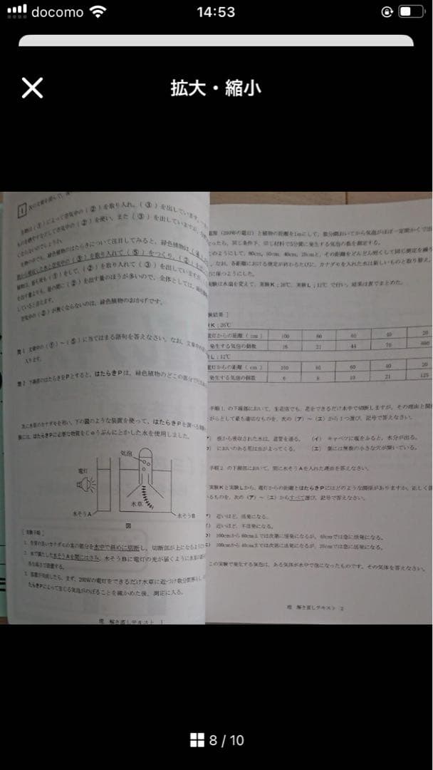再値下2022年NN早実 前期 全8回 テキスト確認テスト早稲アカ早稲田実業