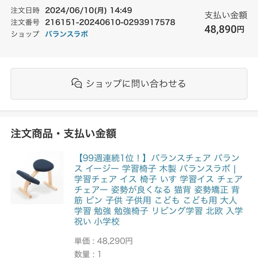 【極美品】 バランスイージー ネイビー　組み立て済