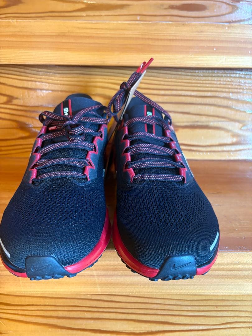 エアズームペガサス41 BTC メンズ24.5㎝