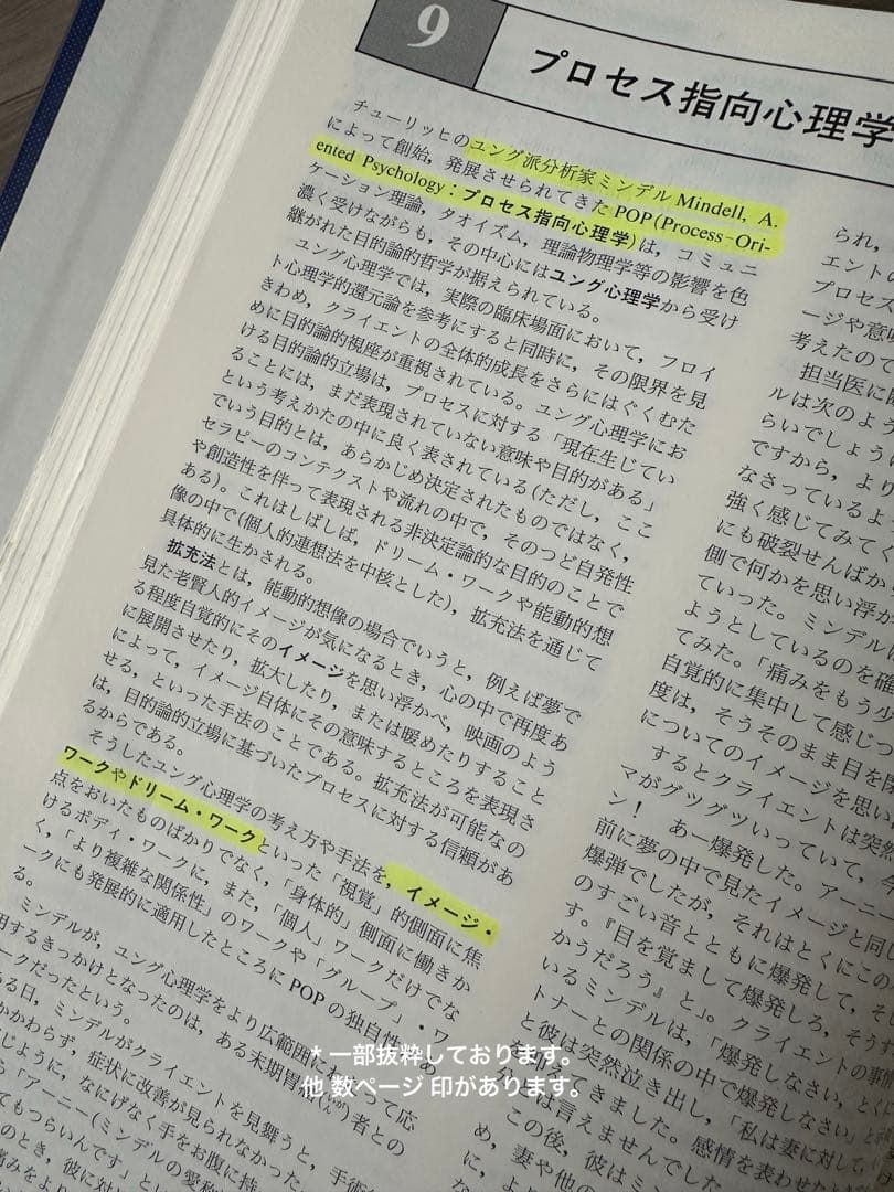 【極美品】心理臨床大事典