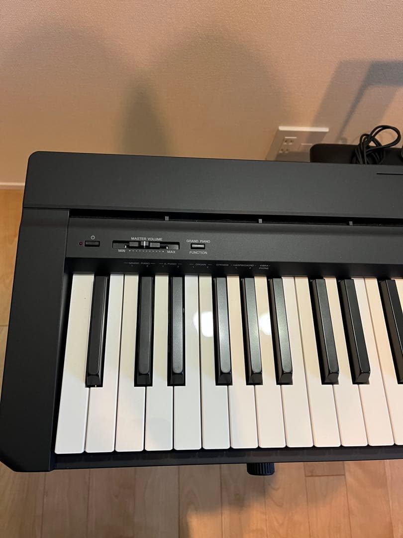 ニコ　ヤマハ　P-45B