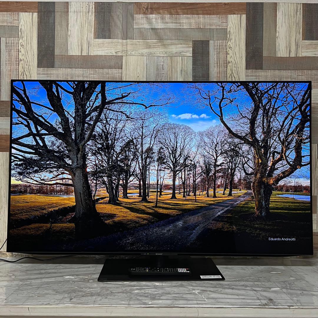 全国送料込❣️ 未使用シャープ 有機ＥＬ 4T-C55FQ12024年製