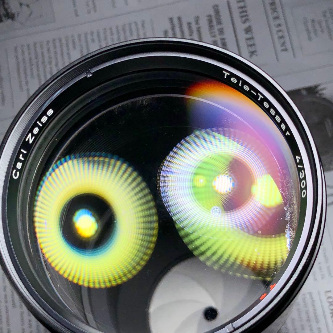 ピンクの猫 さま　CarlZeiss 300mm f4 Y/Cマウント