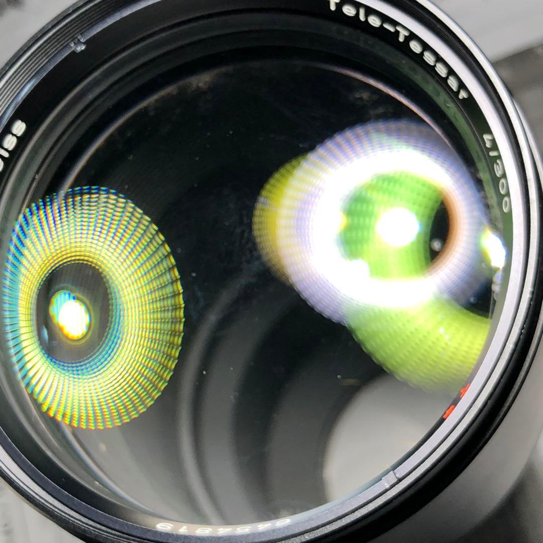 ピンクの猫 さま　CarlZeiss 300mm f4 Y/Cマウント