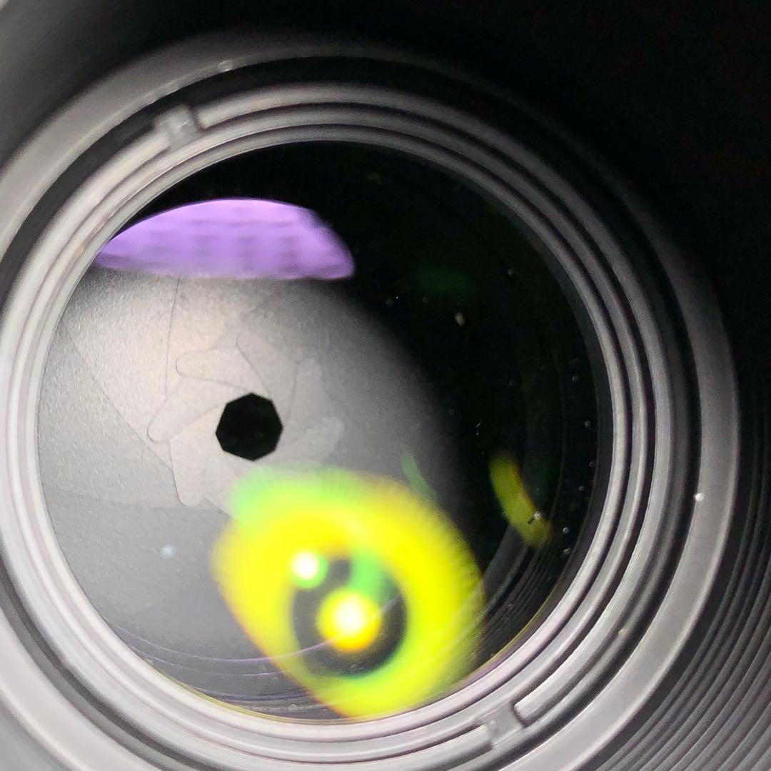 ピンクの猫 さま　CarlZeiss 300mm f4 Y/Cマウント