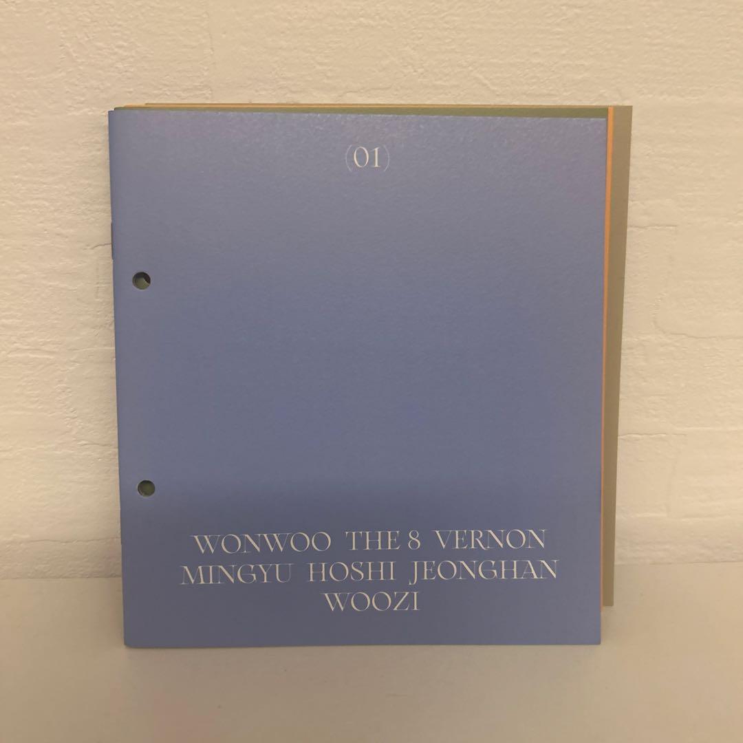 SEVENTEEN 特典 ヘンガレ anode