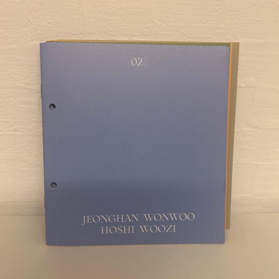 SEVENTEEN 特典 ヘンガレ anode