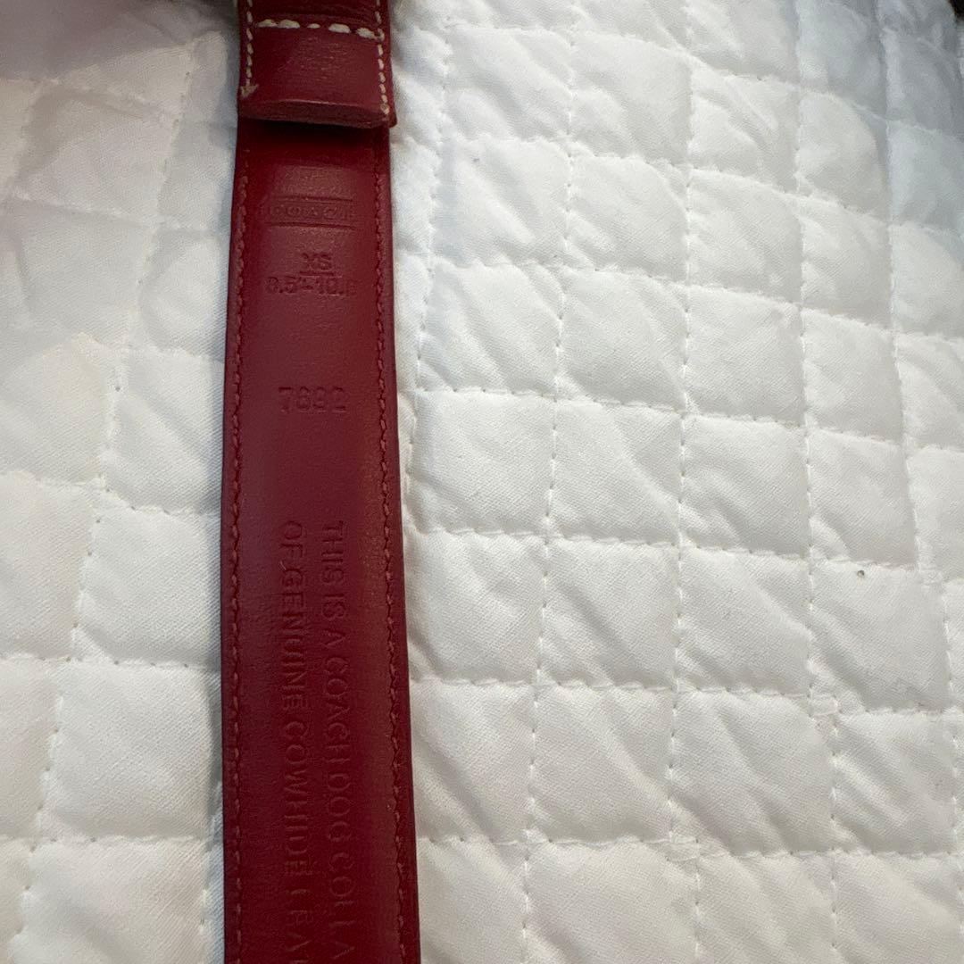 rarayan coach 首輪・リード　オールレザー　レッド