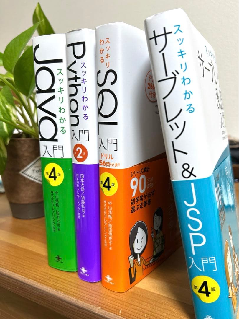 【美品】スッキリわかるプログラミング入門セット