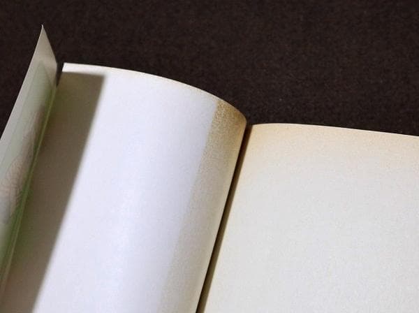 ロックンゲームボーイ　2、4、5巻（最終巻） 初版　池原しげと