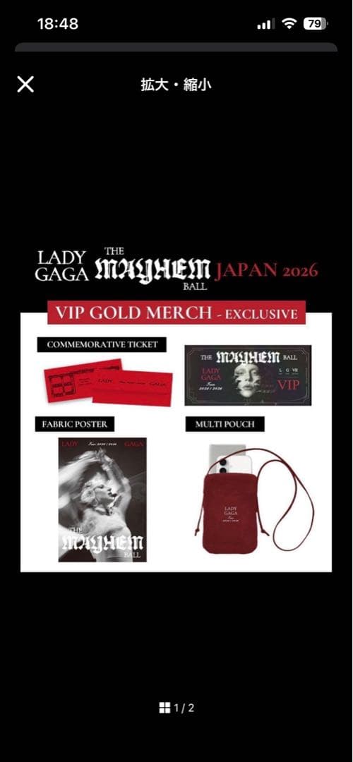 m*9様 Lady Gaga The Mayhem Ball VIP Gold