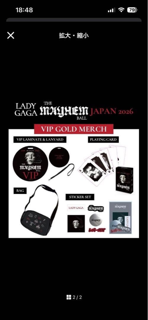 m*9様 Lady Gaga The Mayhem Ball VIP Gold