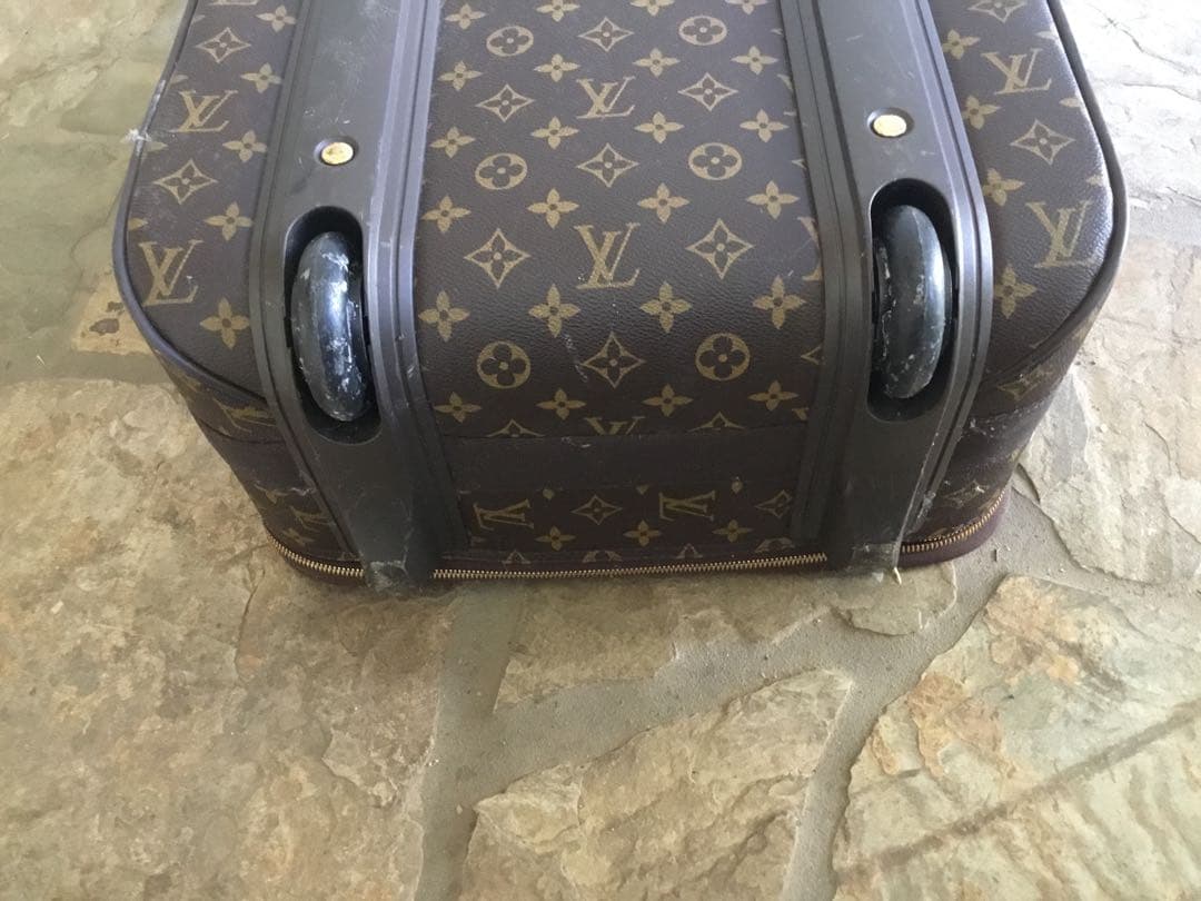 LOUIS VUITTON ペガス
